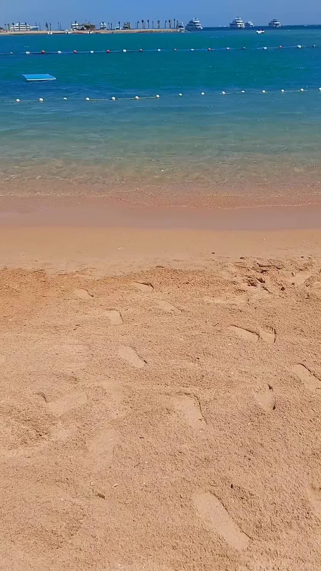 @Denisa Šariská 🇨🇿&🇪🇬