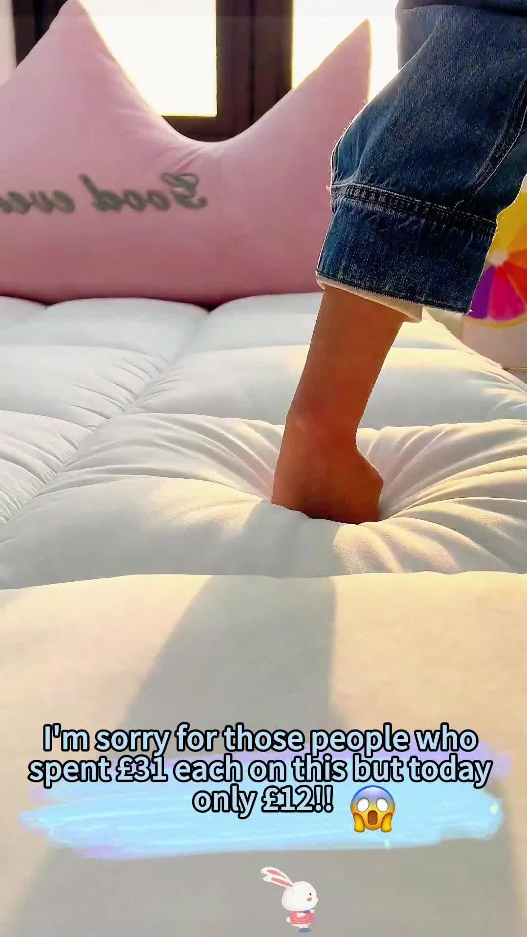 @belle🌟🐛