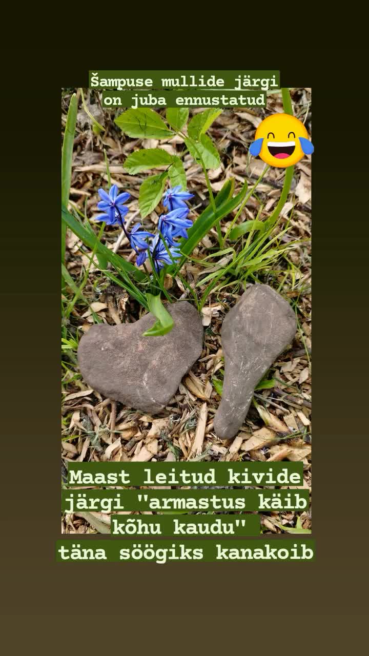@NAERATUSE MILJONÄR