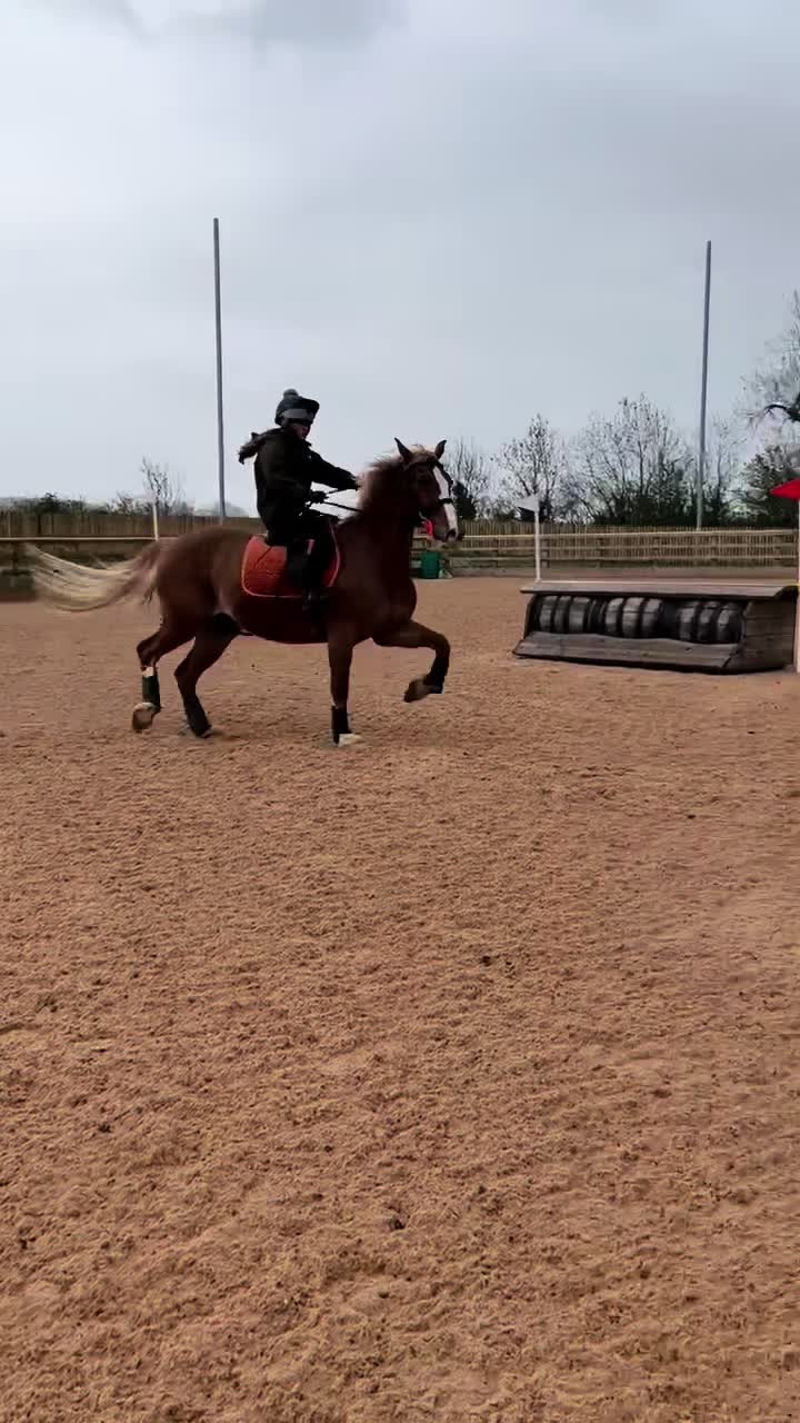 @Ellie 🐴🏎️
