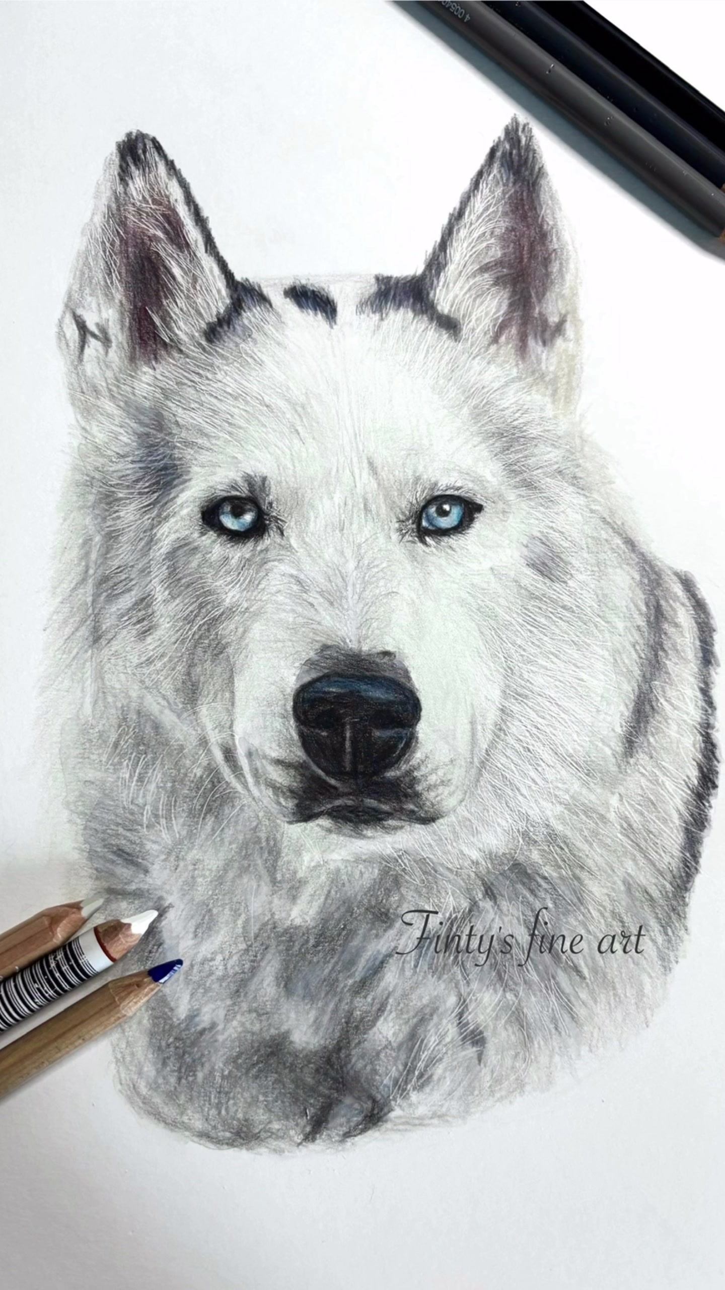 @Fins_fine_art
