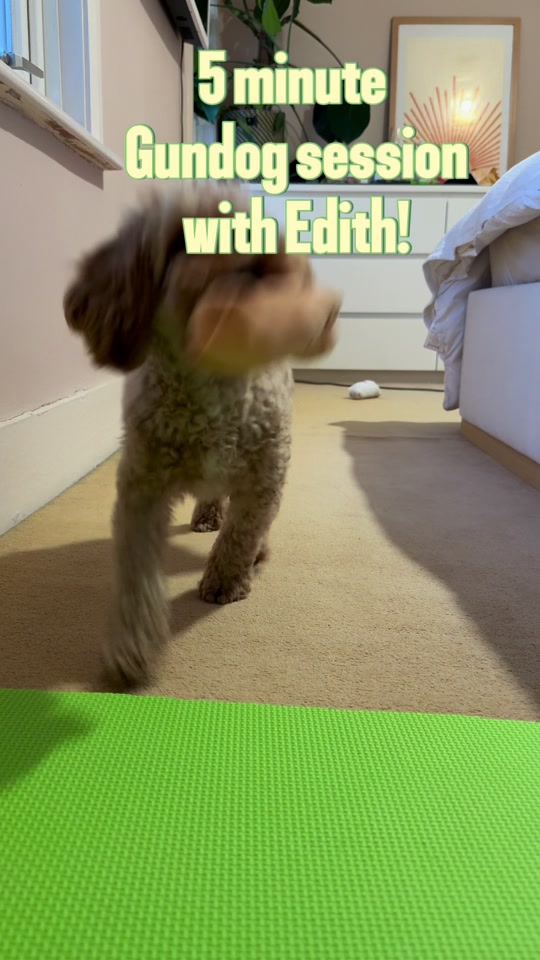 @MilneandMutt