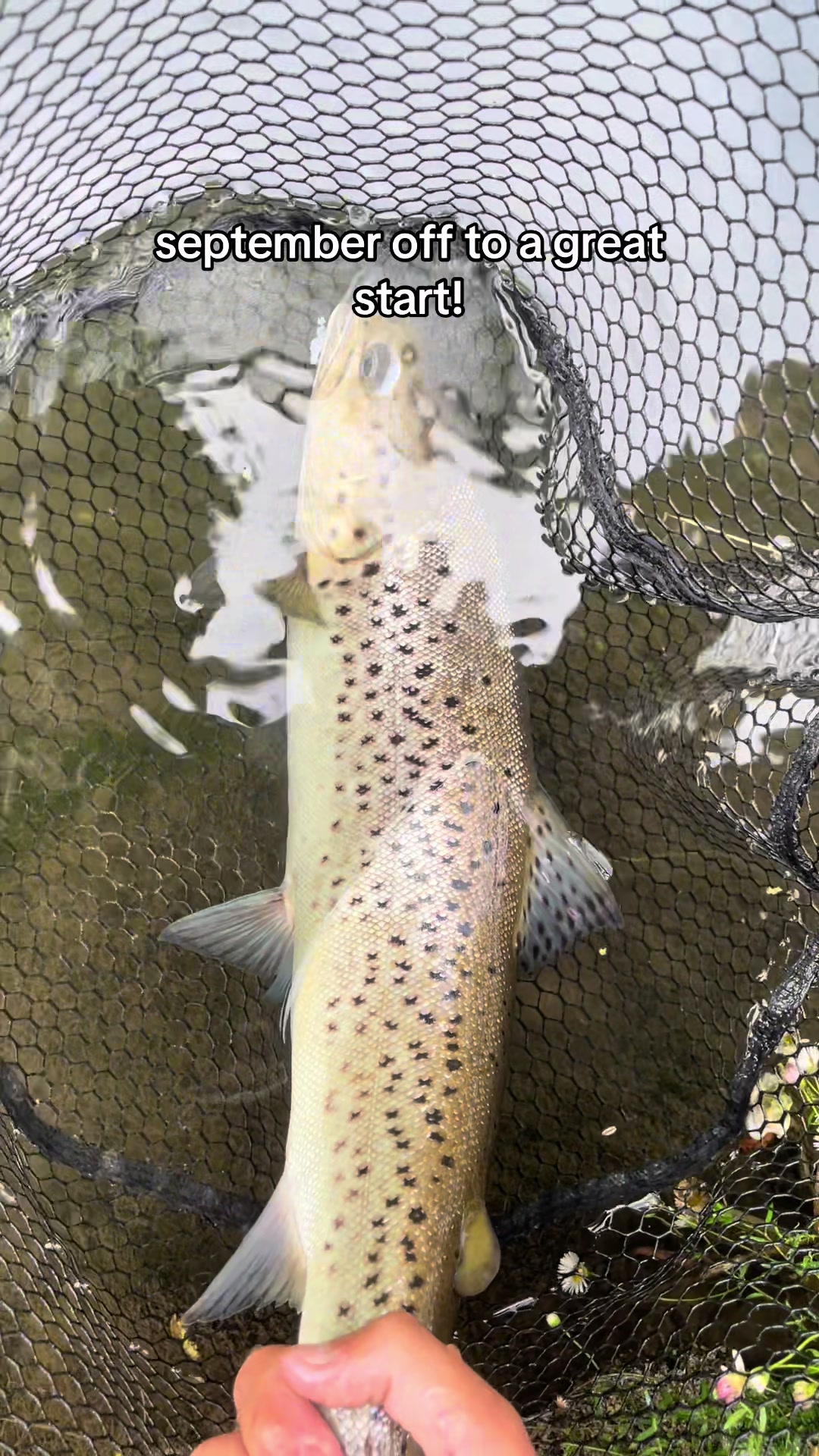 @kh.angling