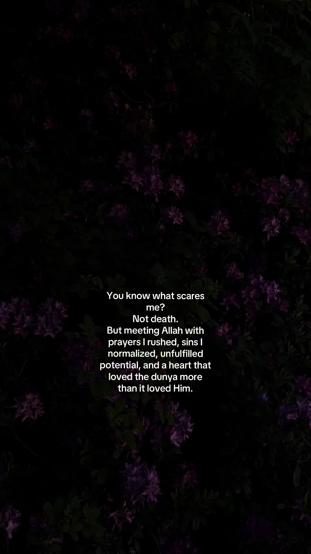 @No Doubt🕊️