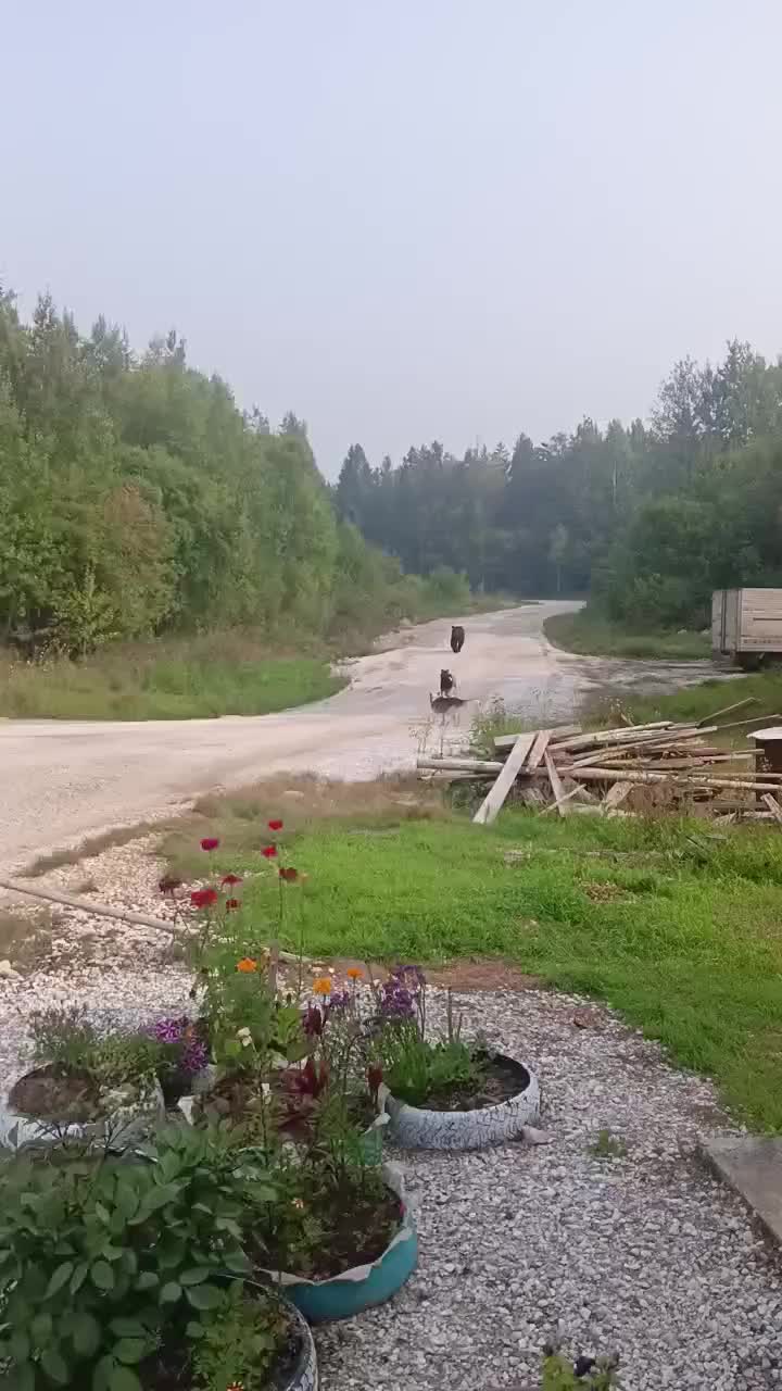 @Татьяна Анатольевна 🤗🥰😊