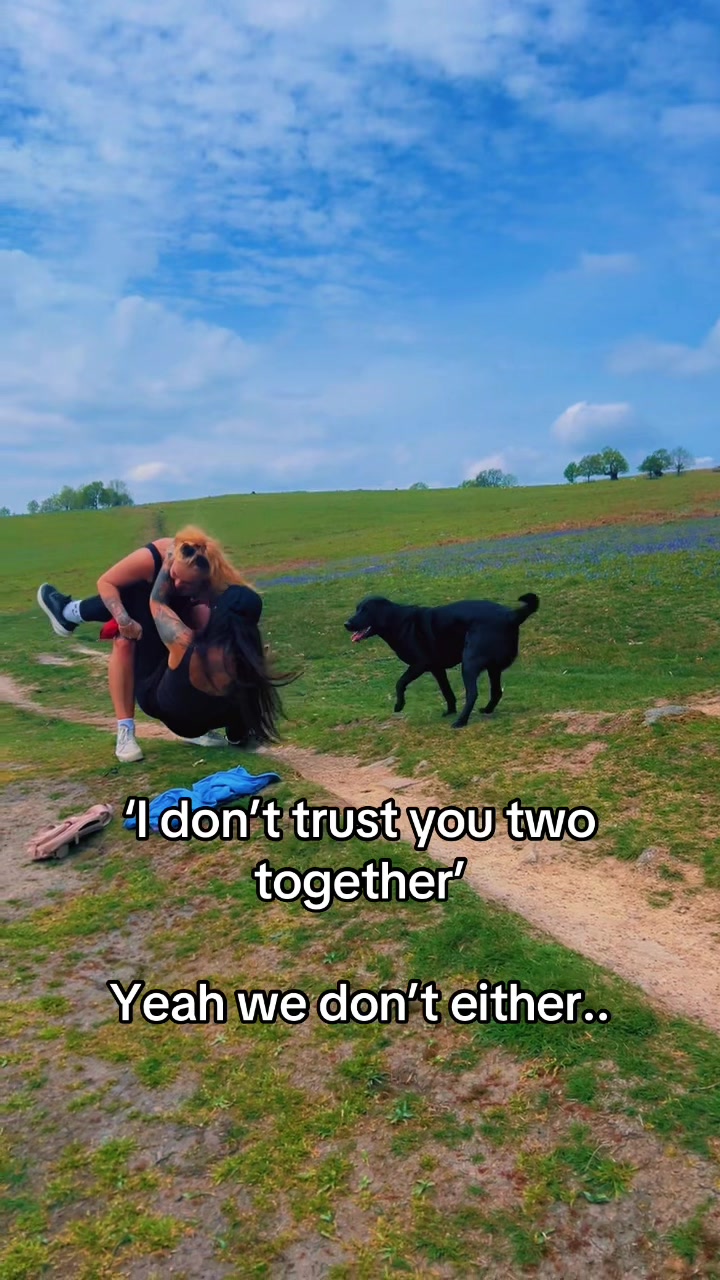 @Cat