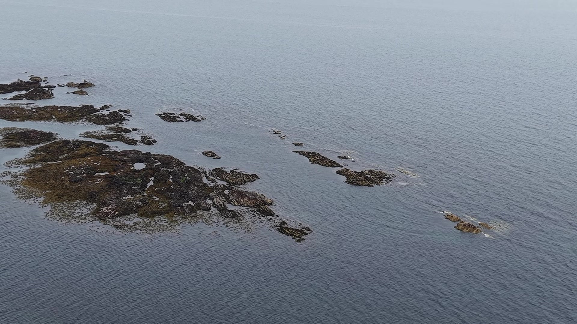 @Co Down drone flying