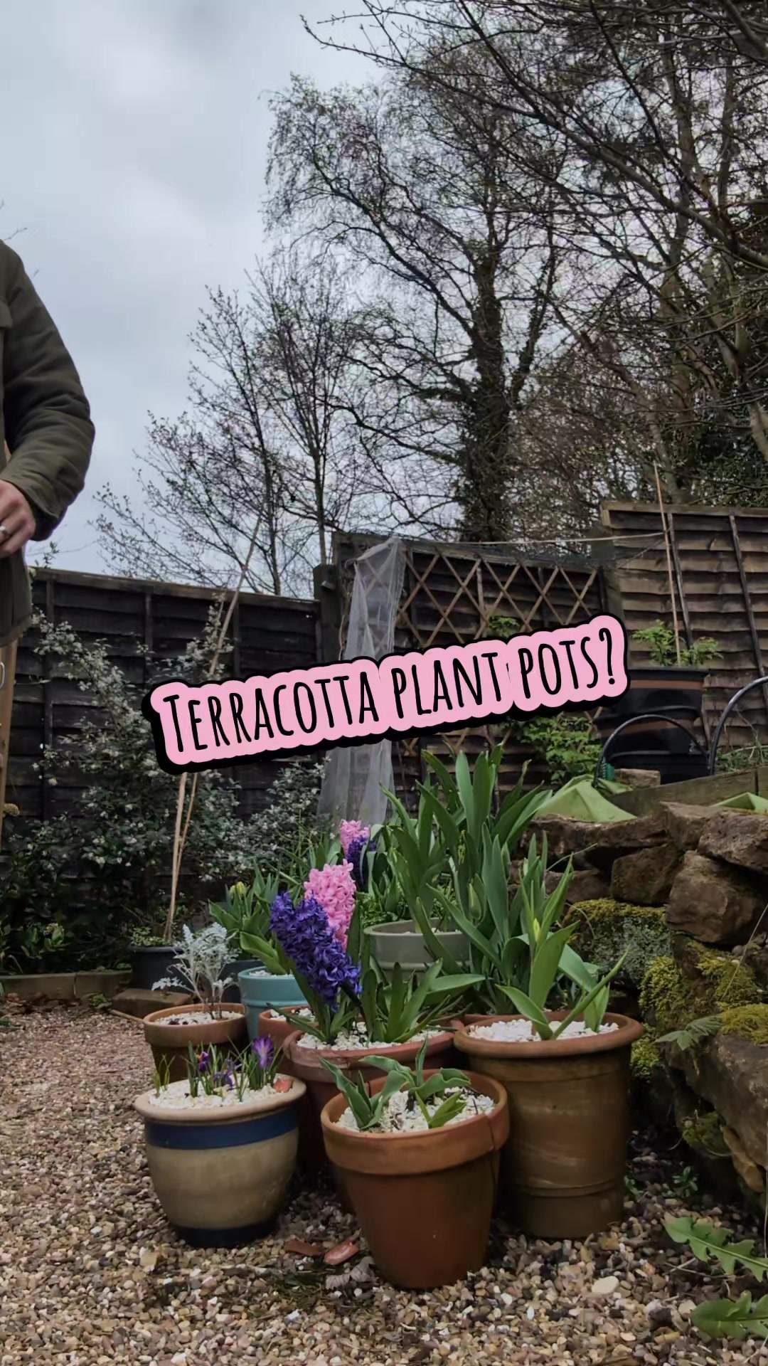 @Steady Going Gardener 🌸🌿