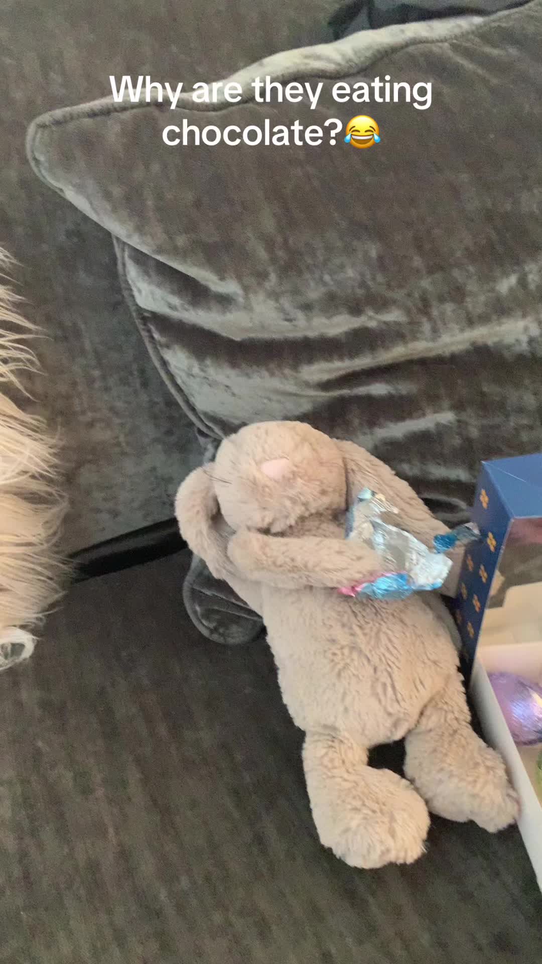 @SJ