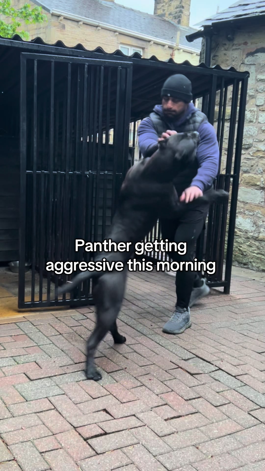 @loyal_pantherr