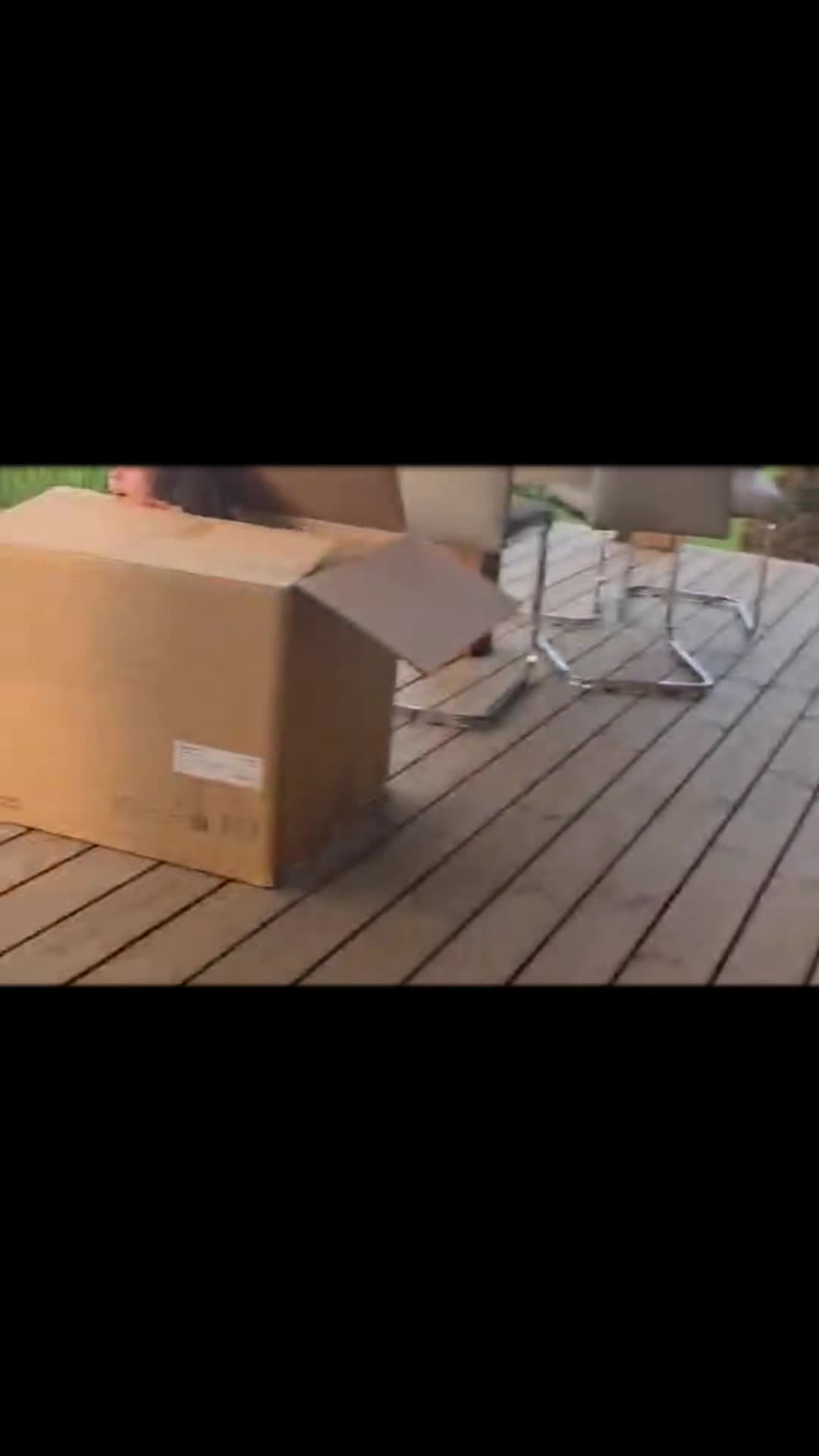 @Bosė😅