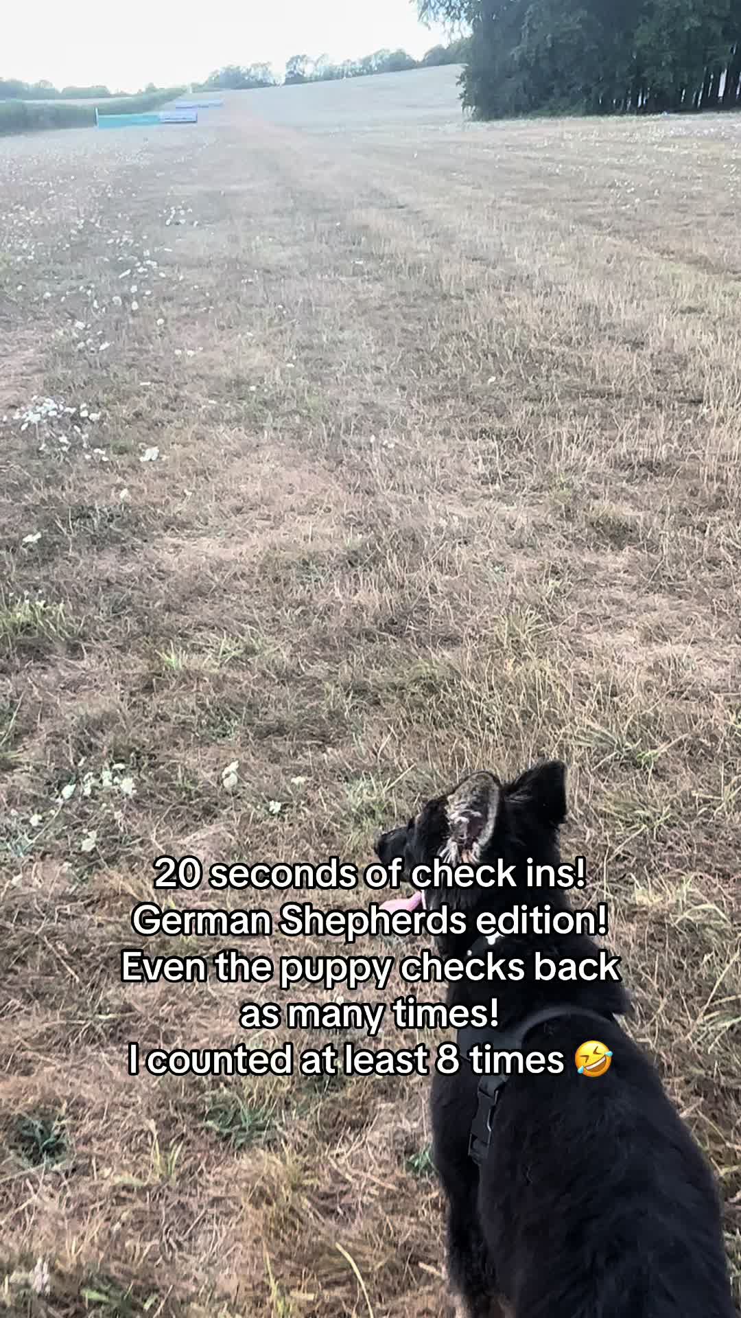@Skyla The GSD & MC Family! 🤍