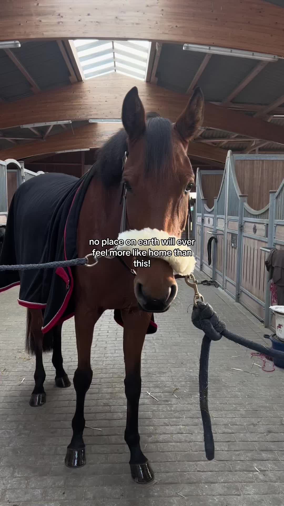 @lena