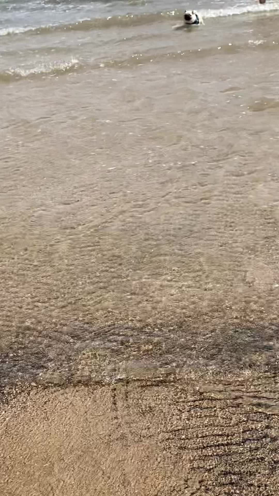 @albiandloki