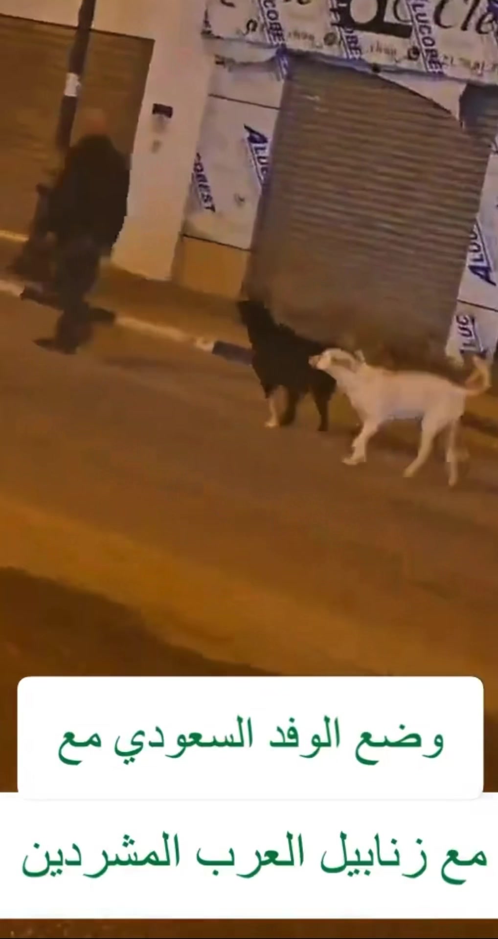 @أبو ليـث