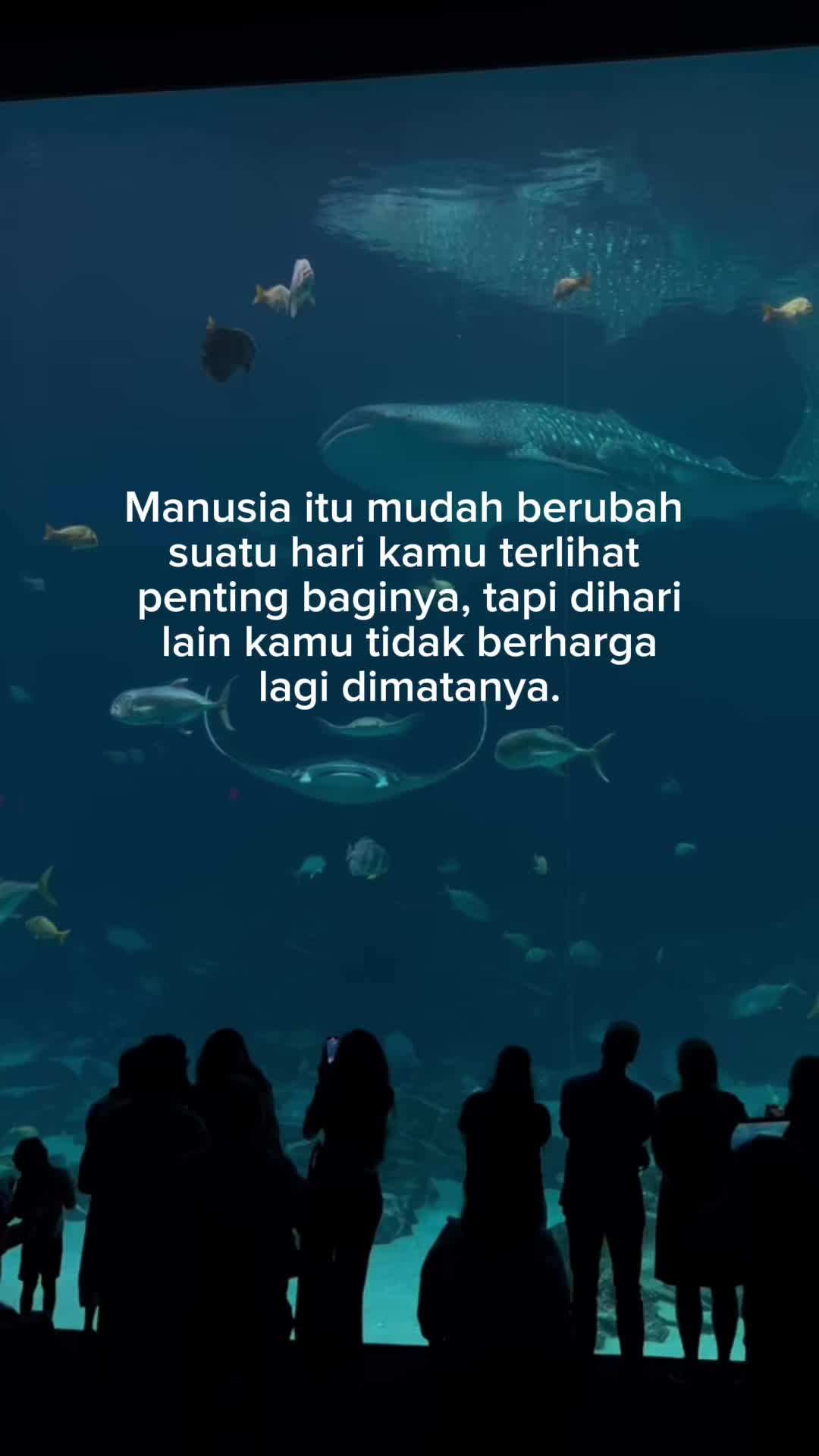 @SUKA GALAU🥀