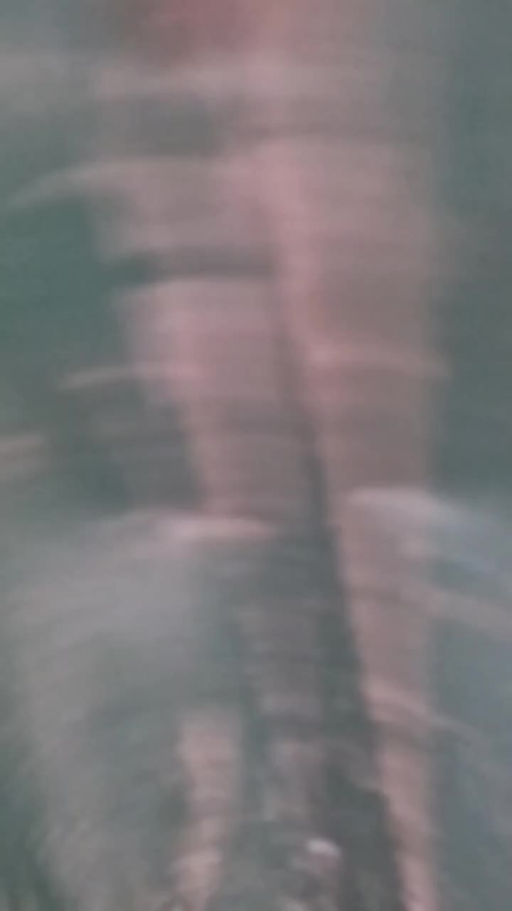 @🦃инда утки🦆