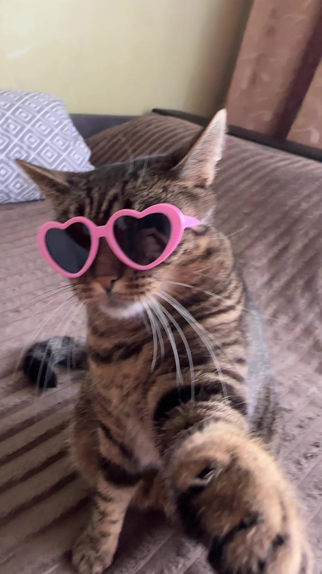 @CaTtoK