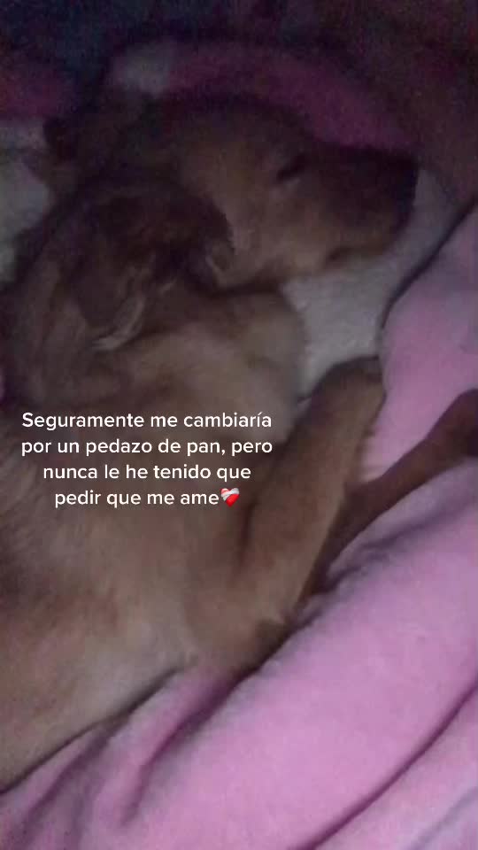 @Isabella Ruiz🧚🏼♀️