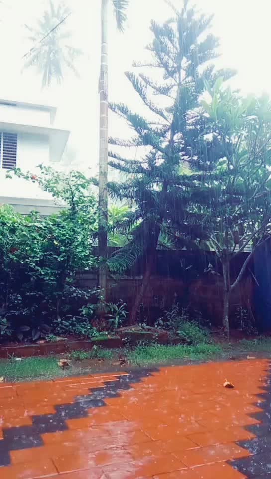 @💓ഒരു പാവം ഡ്രൈവർ 💓