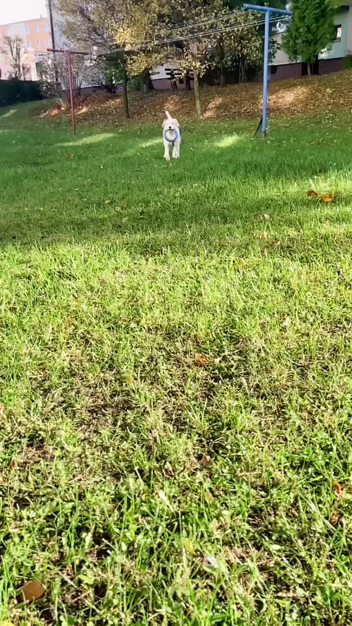 @𝐻𝑢𝑔𝑜