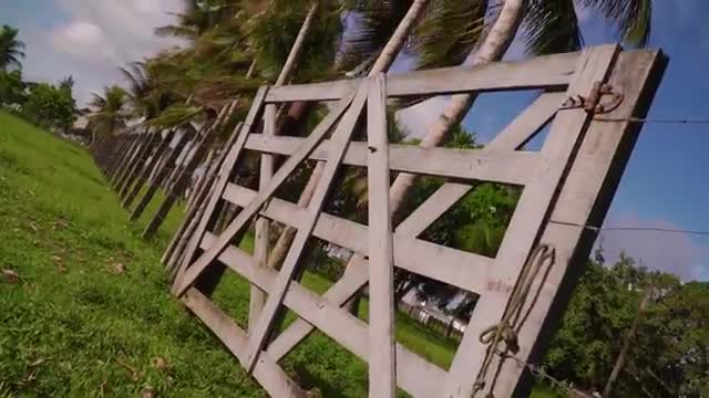 @kamilinha Santos Oficial