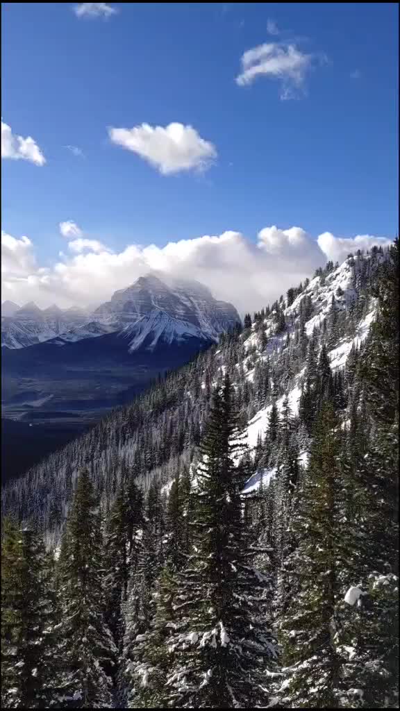 @The Banff local