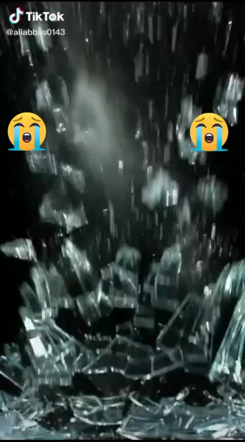 @user8532453527853