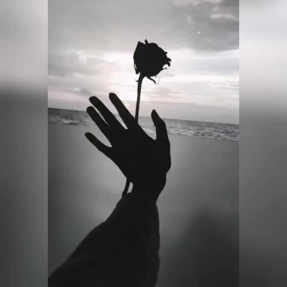@Silent_knight