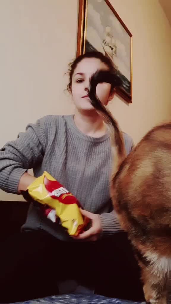 @☆&ensp;𝓓𝓮𝓵𝓲𝓪&ensp;&ensp;♡🐾
