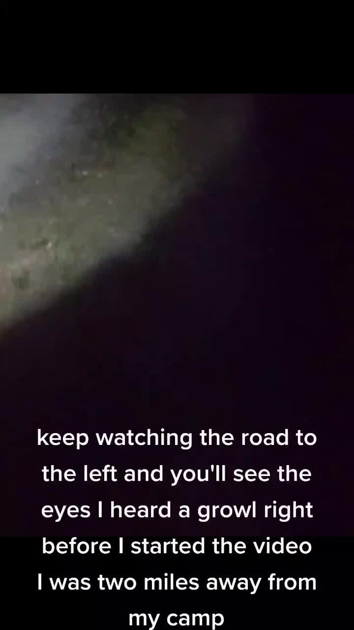 @gatordood88