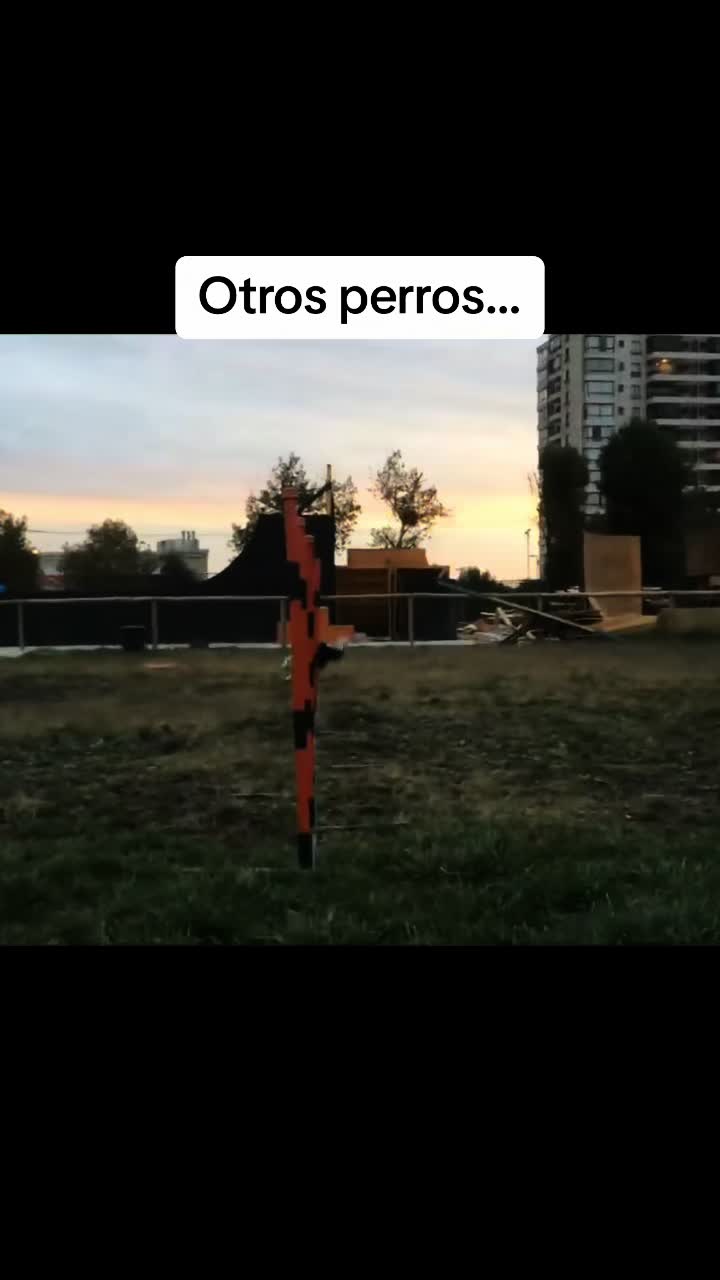 @Diario de Donny🐕 y mami👩🏻