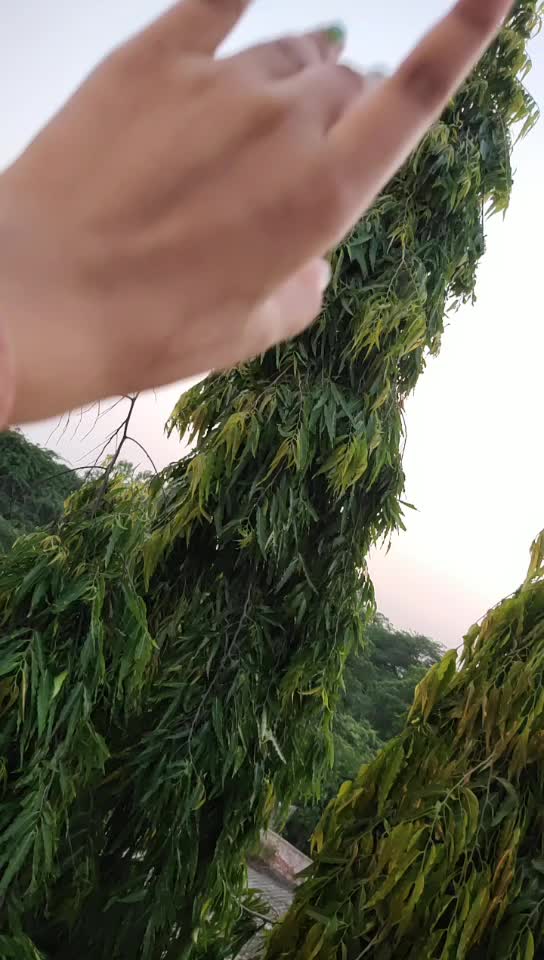@DOLIKA BHARDWAJ