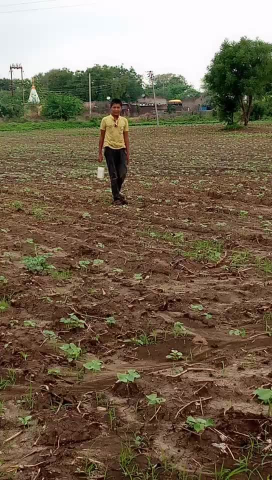 @yash bhau pandhare
