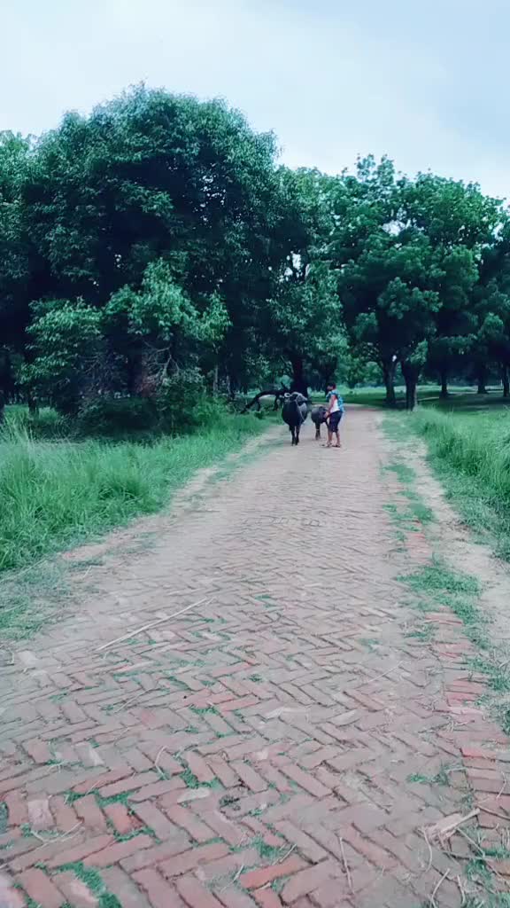 @Vikash Bhai
