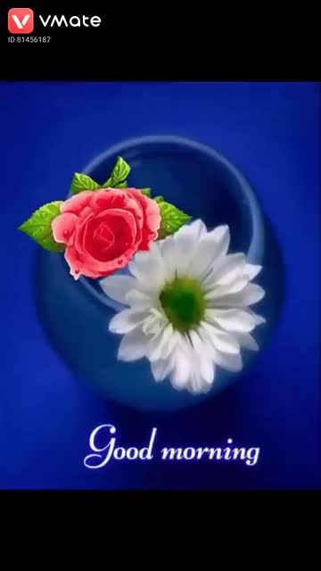 @suraj gayakwad