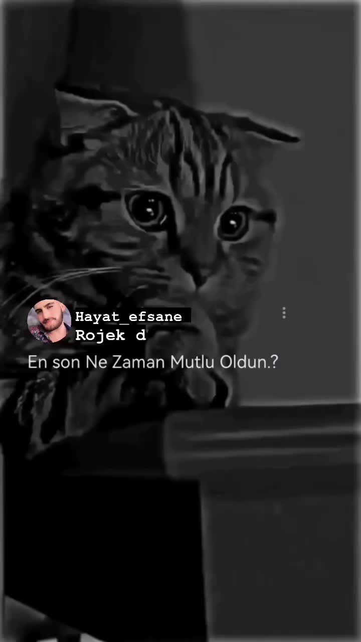 @Hayat_efsane
