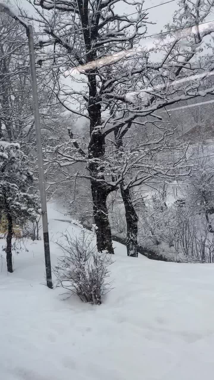 @Daria Titova