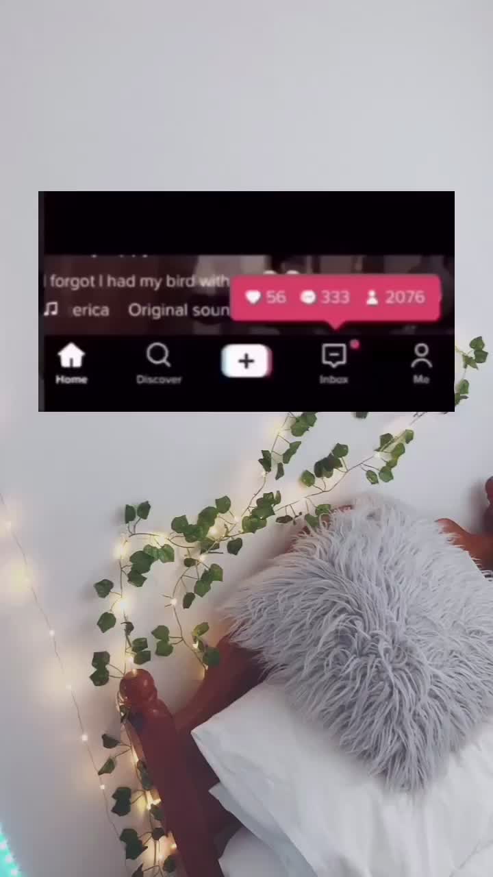 @🦋