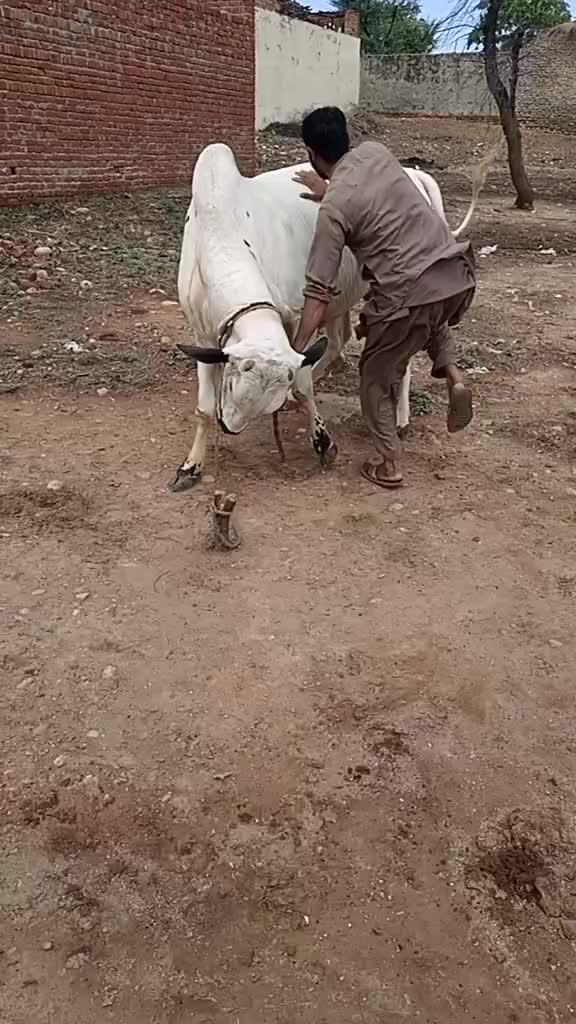 @Fahad JaTT Gangaal