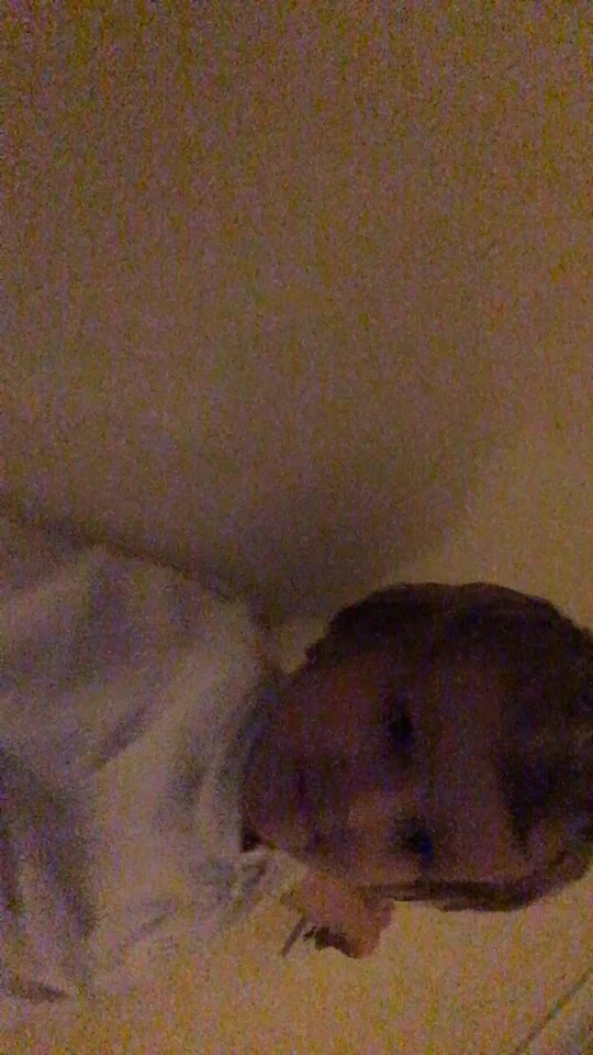 @1c00ldud333