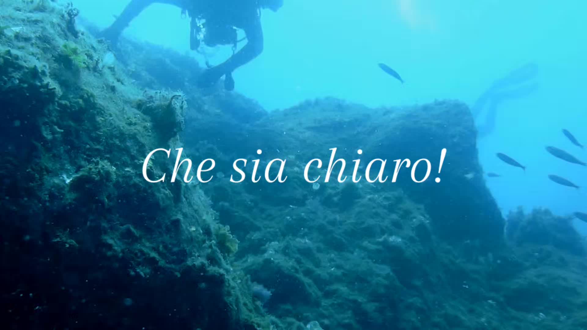 @Fabrizio 🖤🗝️🤍