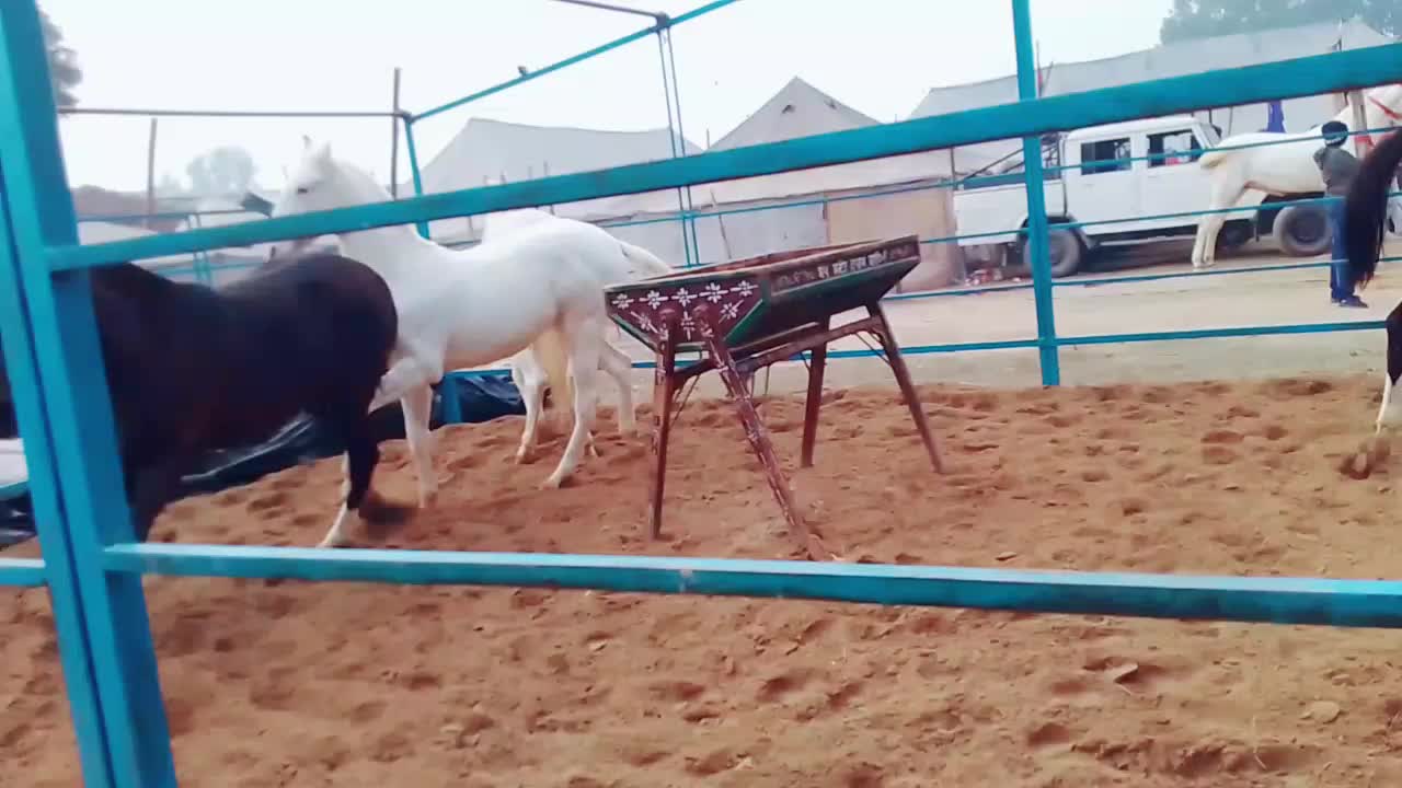 @yaar_fzkਤੌ
