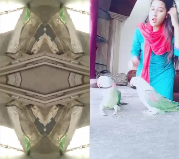 @Sahadat Ali