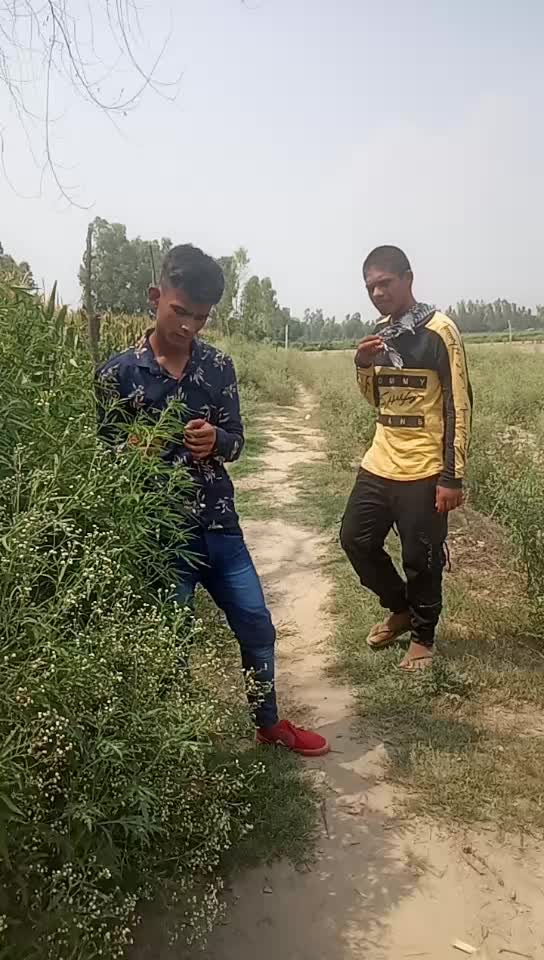@Vishal Kumar