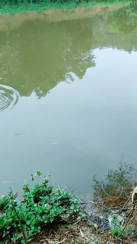 @Shamnad Chemmu