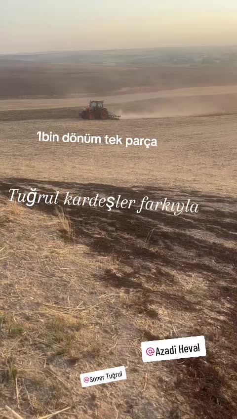 @Mehmet Yalçın Tuğrul
