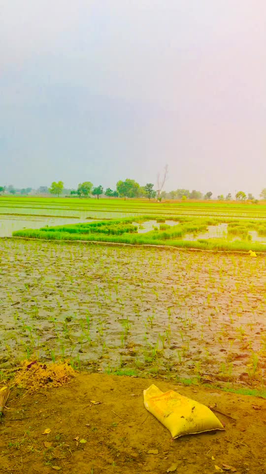 @ਮੁੰਡਾ ਮਾਨਾਂ ਦਾ❤️