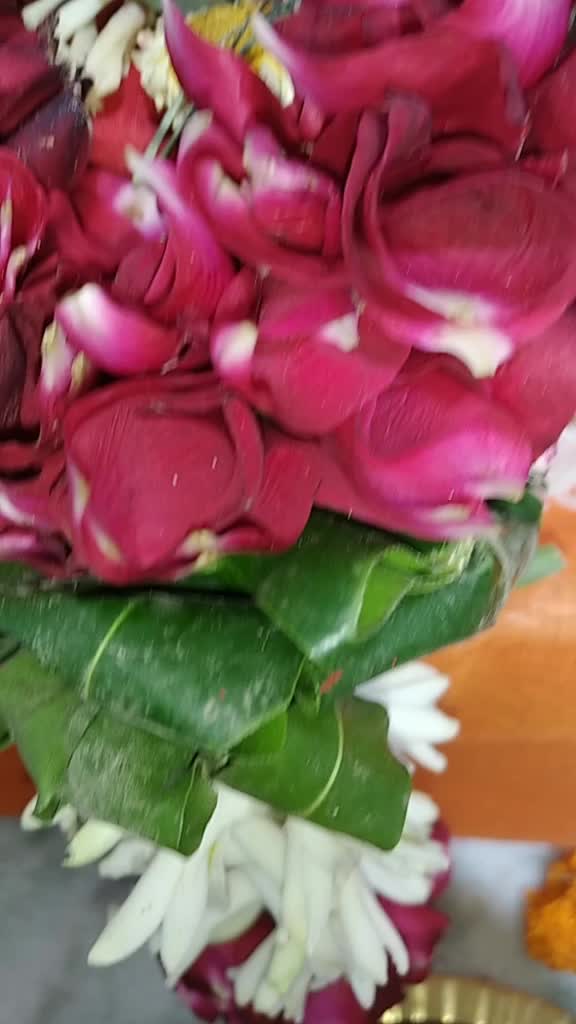 @Sandyro7