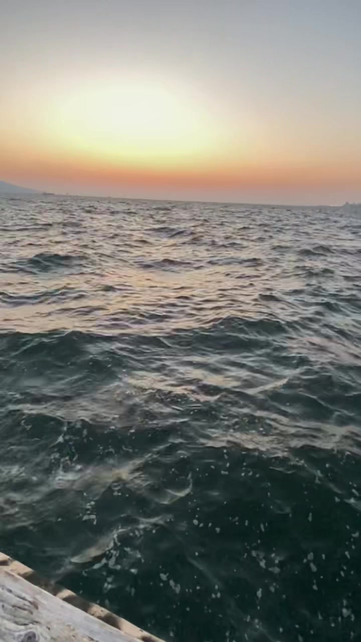 @mustafa.ksgl_